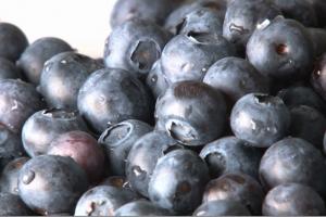 The Power of Blueberries and Blackberries