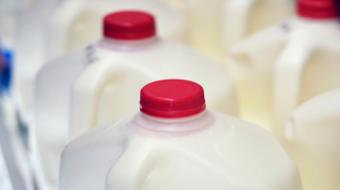Intolérance au lactose vs. une allergie aux protéines du lait