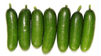 nutrition baby cucumbers