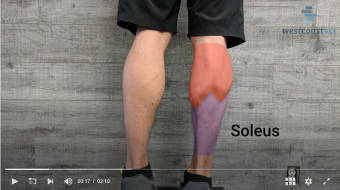 screenshot at exercises for the soleus muscle recommended for runners