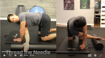 Top 3 Exercises for Mid-Back Mobility ( T Spine)