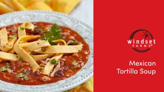 wf youtube mexican tortilla tomato soup
