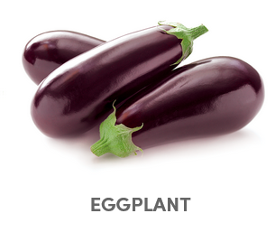 eggplant