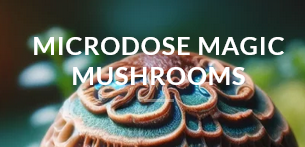 Microdose Mushroom Canada